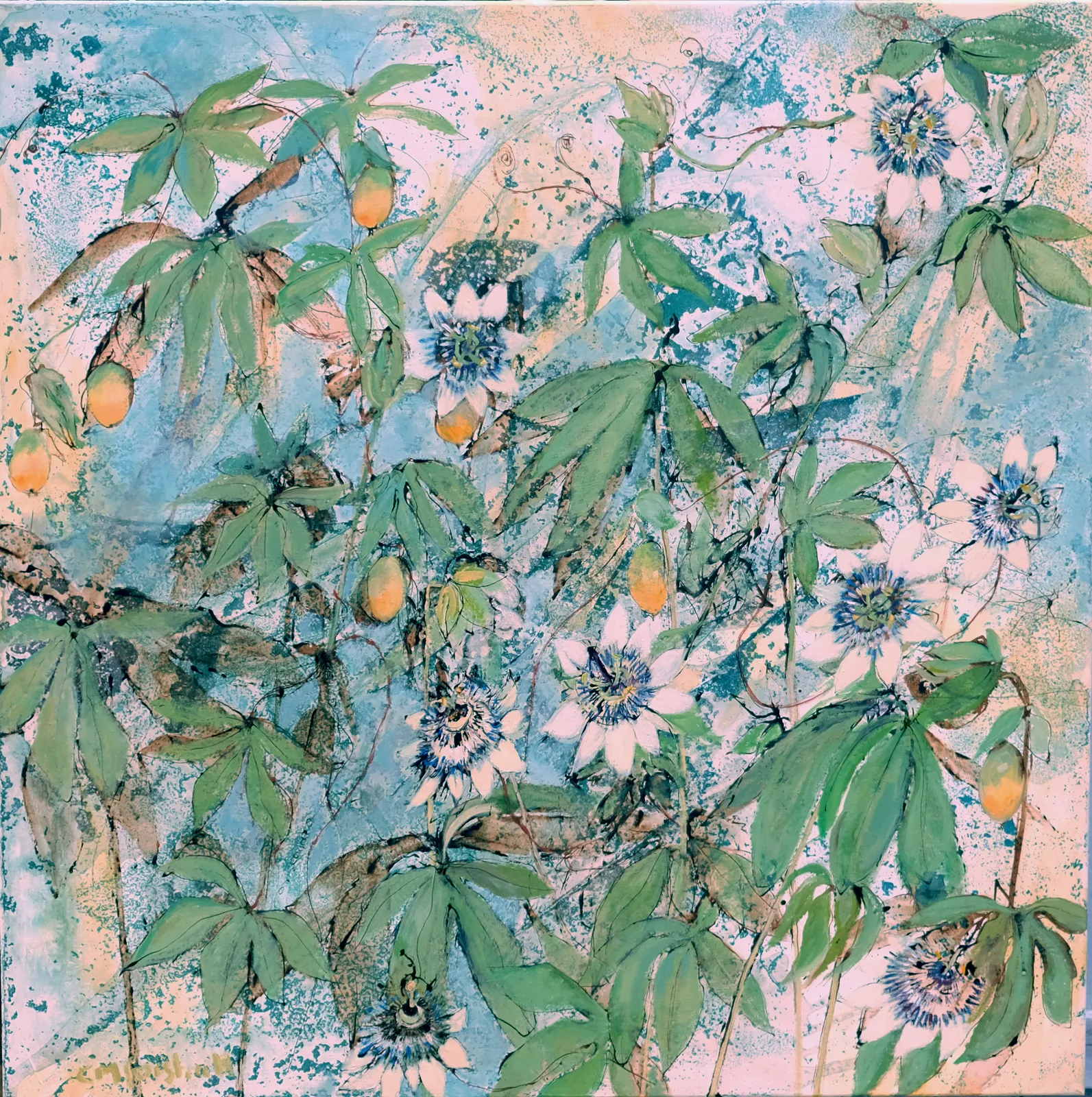 Catherine Forshall, Passiflora with fruit