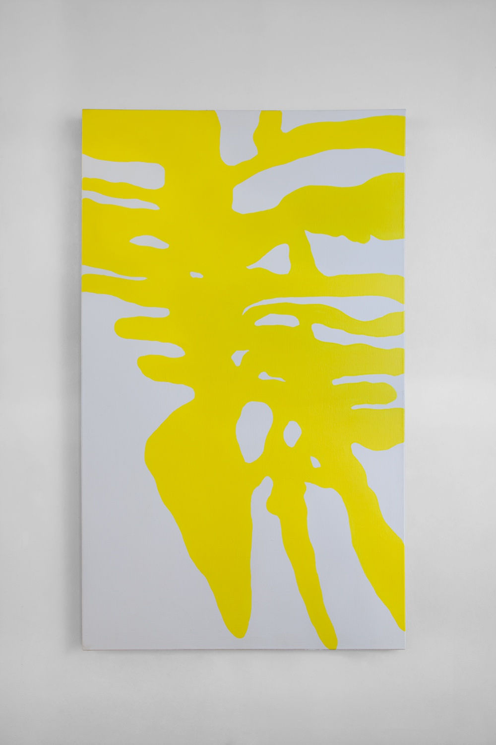 Federico Alvarado Zúniga, Costillas Amarillas, 2020