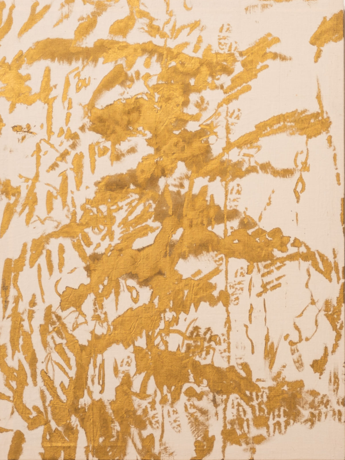 Caterina Sammartino, Dopo la pioggia, 2023