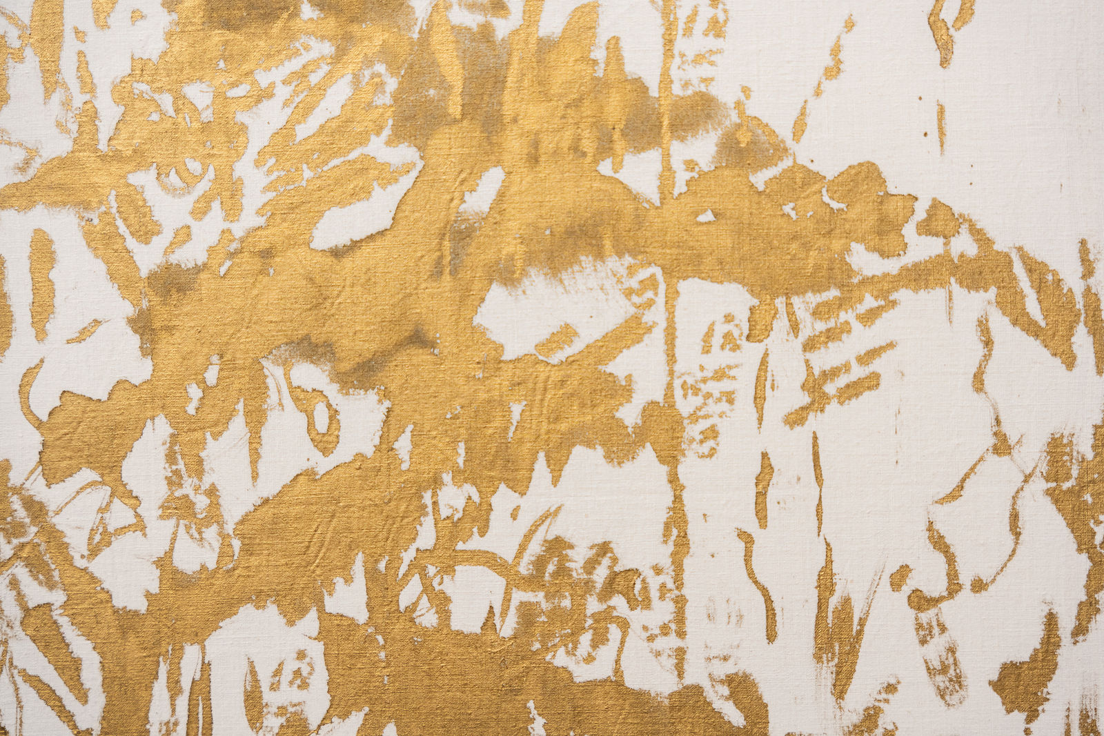 Caterina Sammartino, Dopo la pioggia, 2023