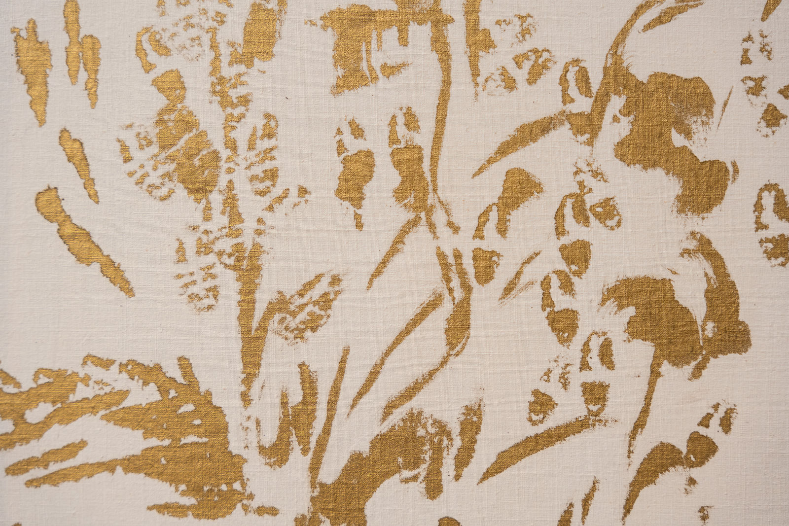 Caterina Sammartino, all'alba, 2023