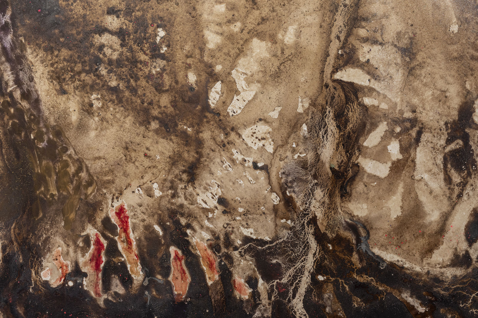 Luca Di Terlizzi, Nel segno dell’ibrido si presentarono le forme, 2024