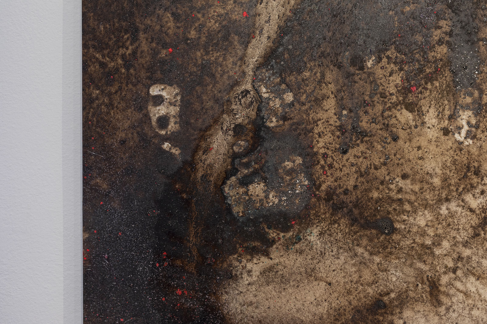 Luca Di Terlizzi, Nel segno dell’ibrido si presentarono le forme, 2024