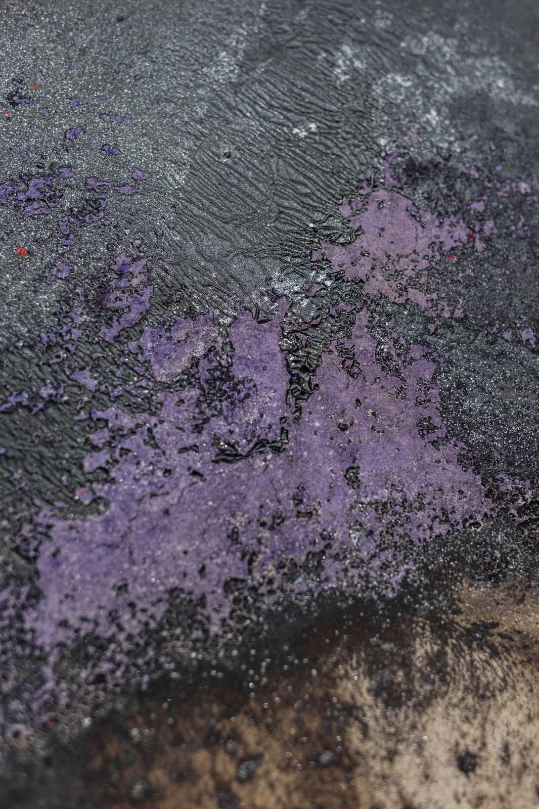 Luca Di Terlizzi, Nel segno dell’ibrido si presentarono le forme, 2024