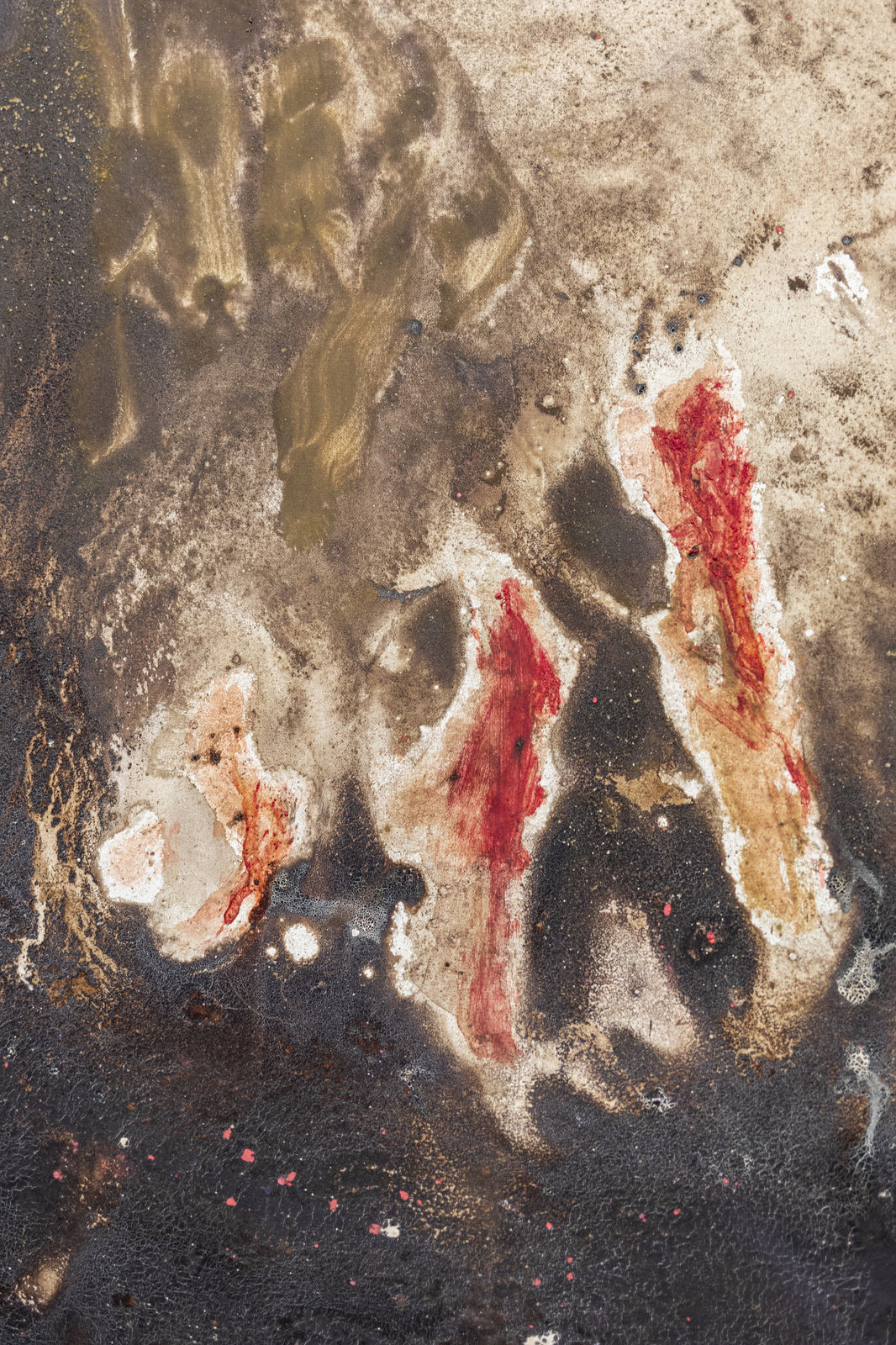 Luca Di Terlizzi, Nel segno dell’ibrido si presentarono le forme, 2024