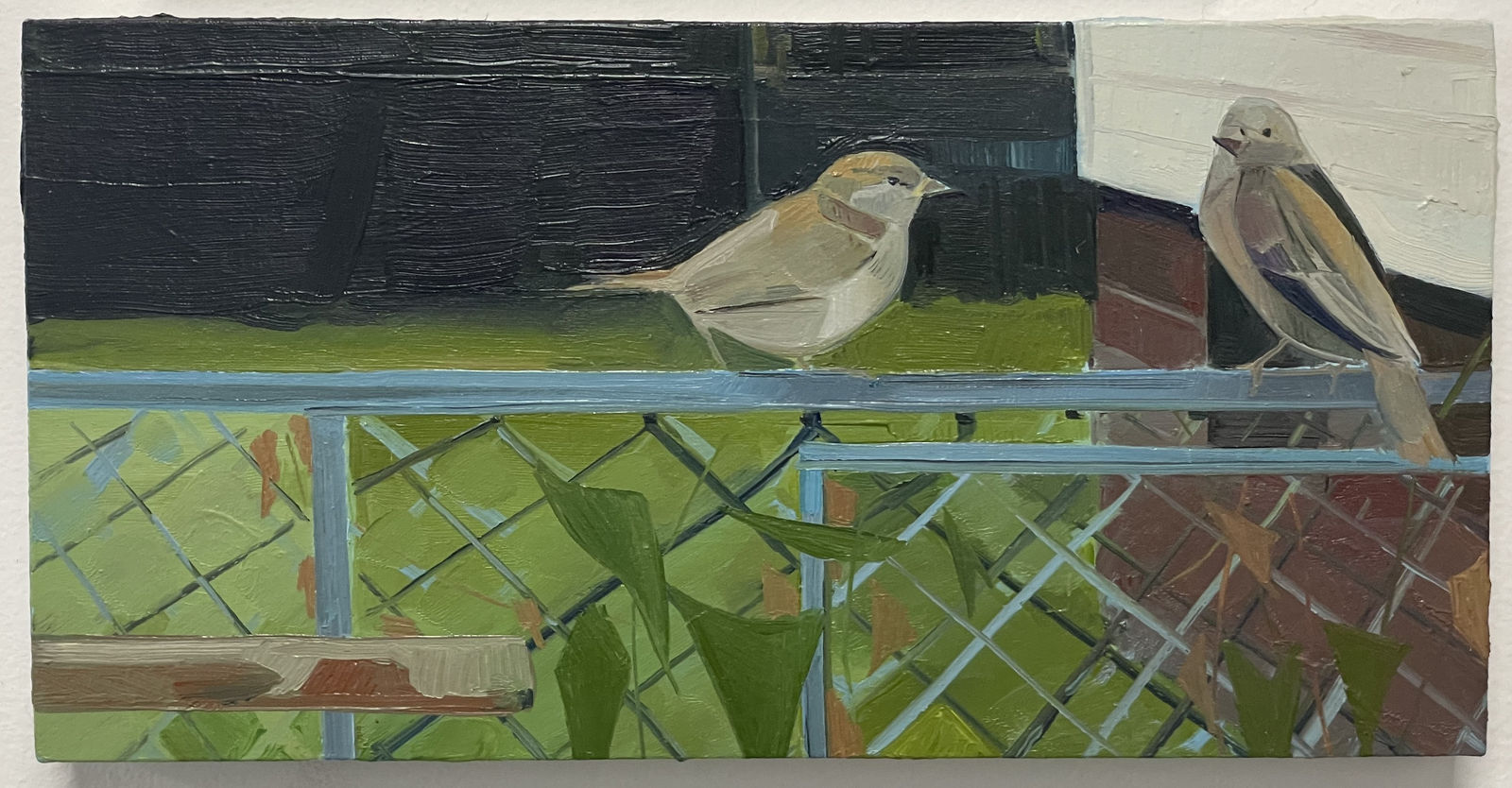 Logan T. Sibrel, Doscher Pair, 2023