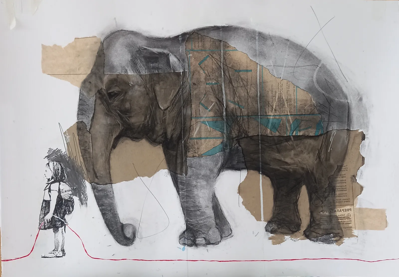 Walking the fine red line by Cara Gordon ARUA