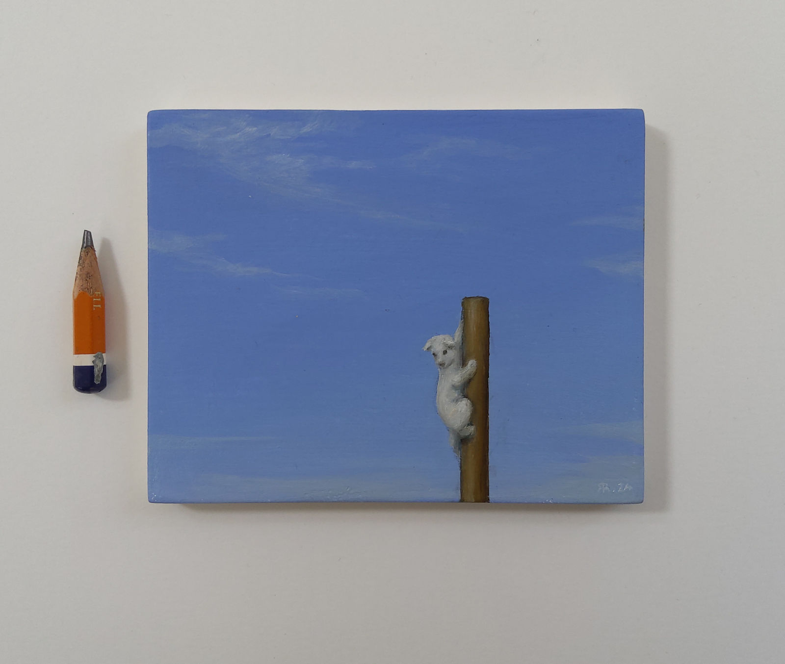 The Climber By Robert Ryan