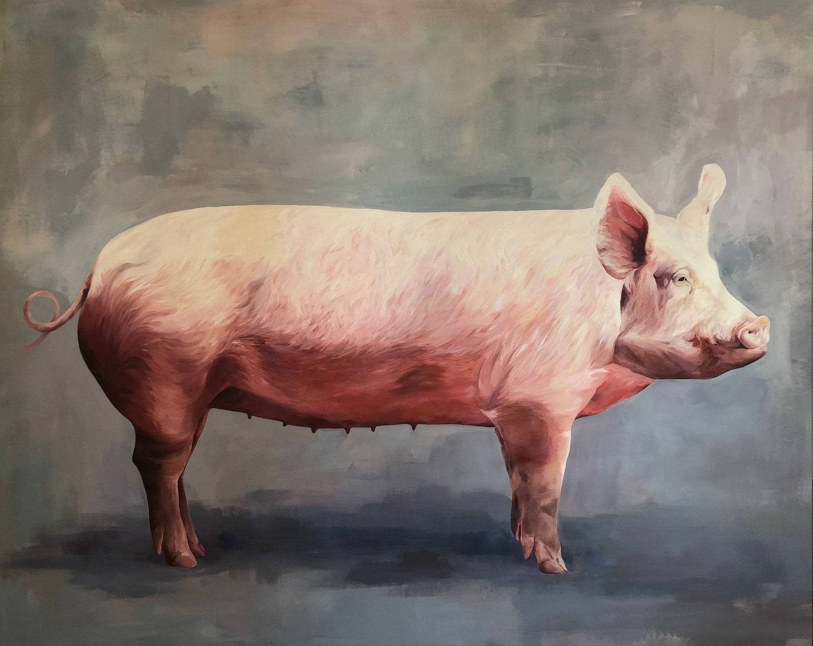 Tatiana Alban, 貯金箱 (Japanese)