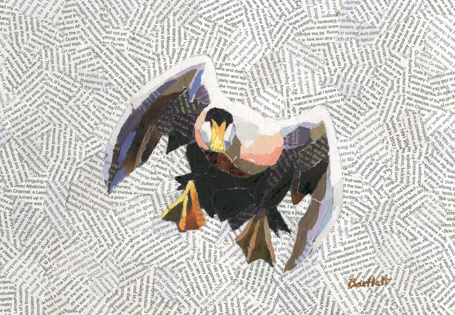 Elder Take off by Paul Bartlett