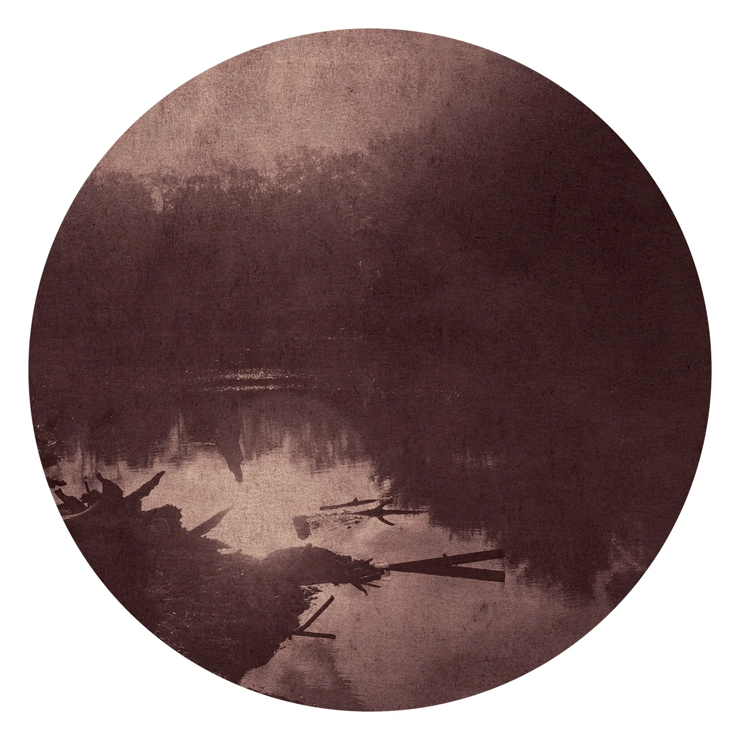 Ted Kincaid, Trinity 1028, 2015