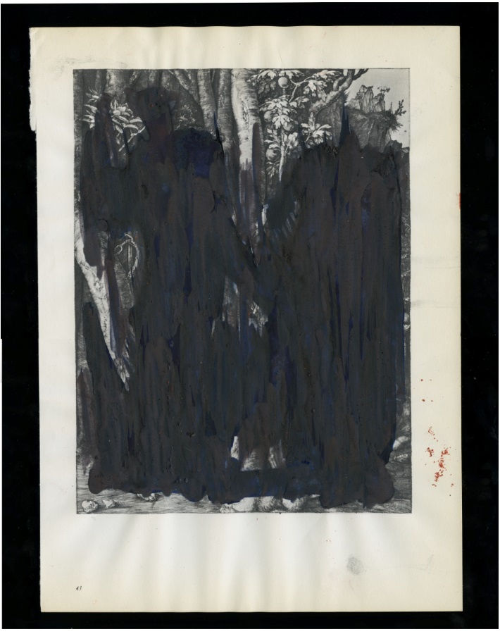 Rob Johannesma, Forest, 2017