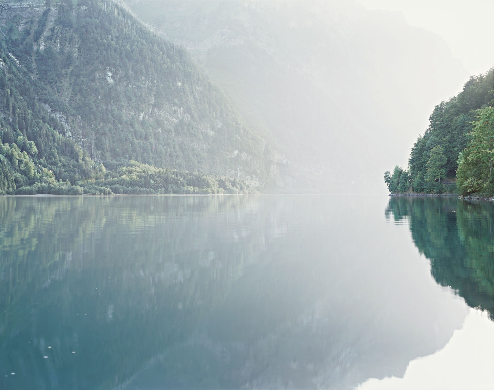 Misha de Ridder, Bärentritt, 2009