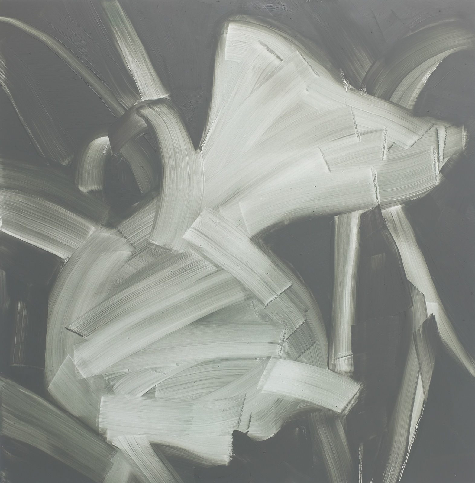 Marjolein Rothman, Narcissus VII, 2017