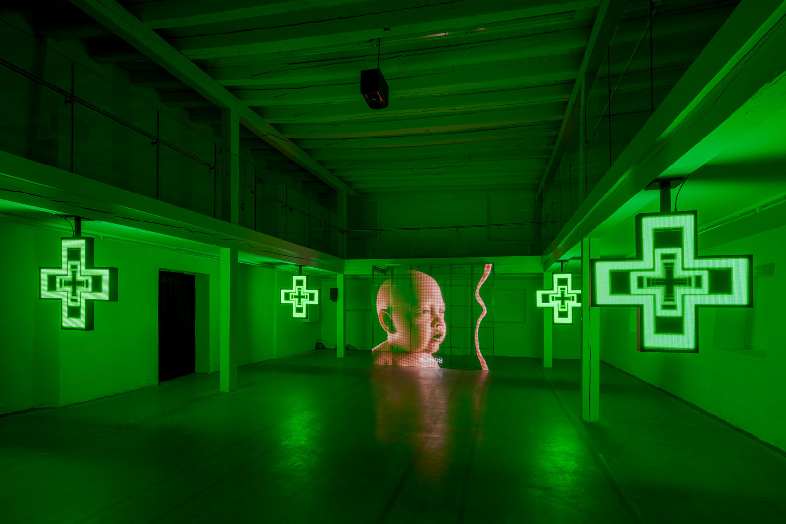 Photo: David Stjernholm