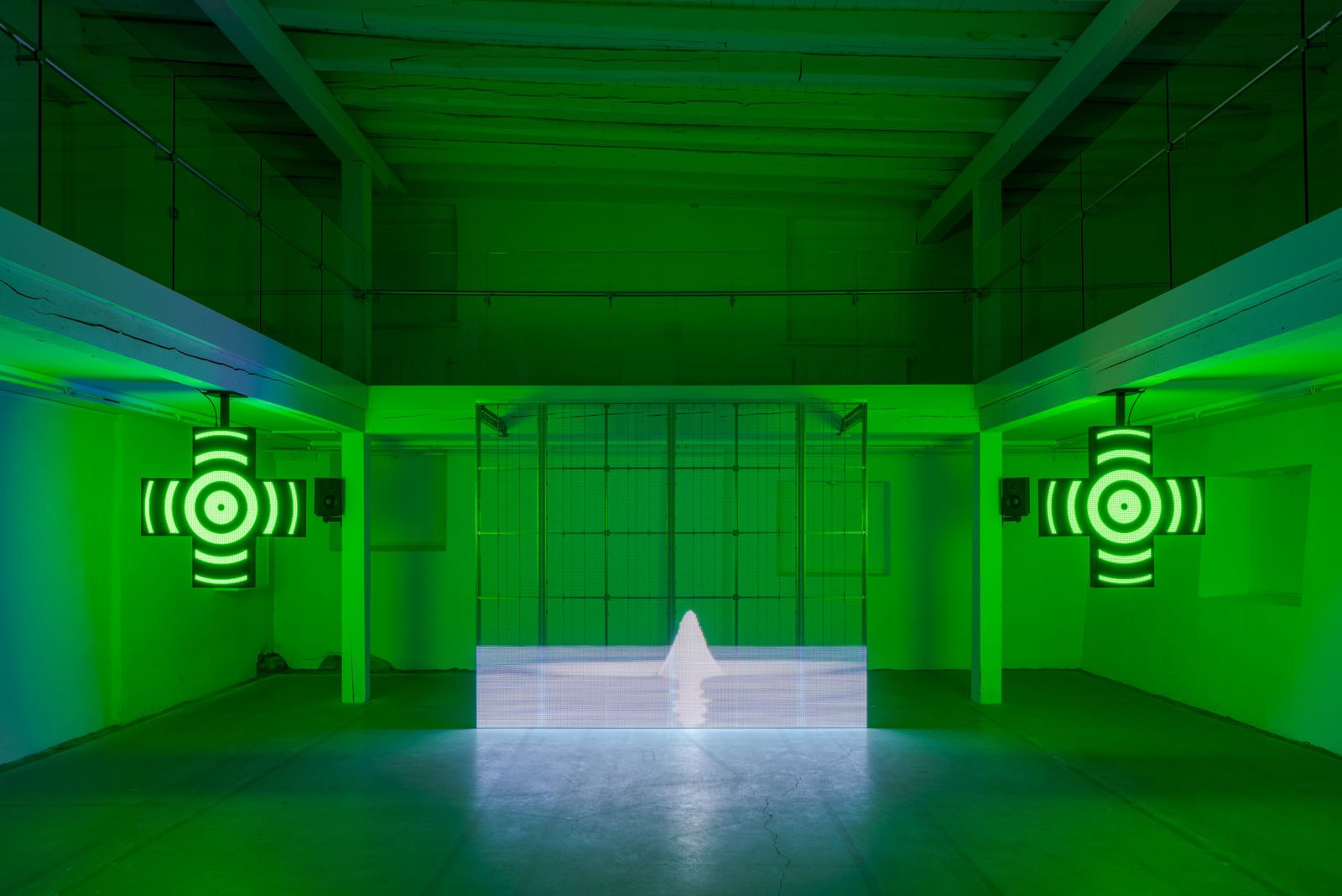 Photo: David Stjernholm