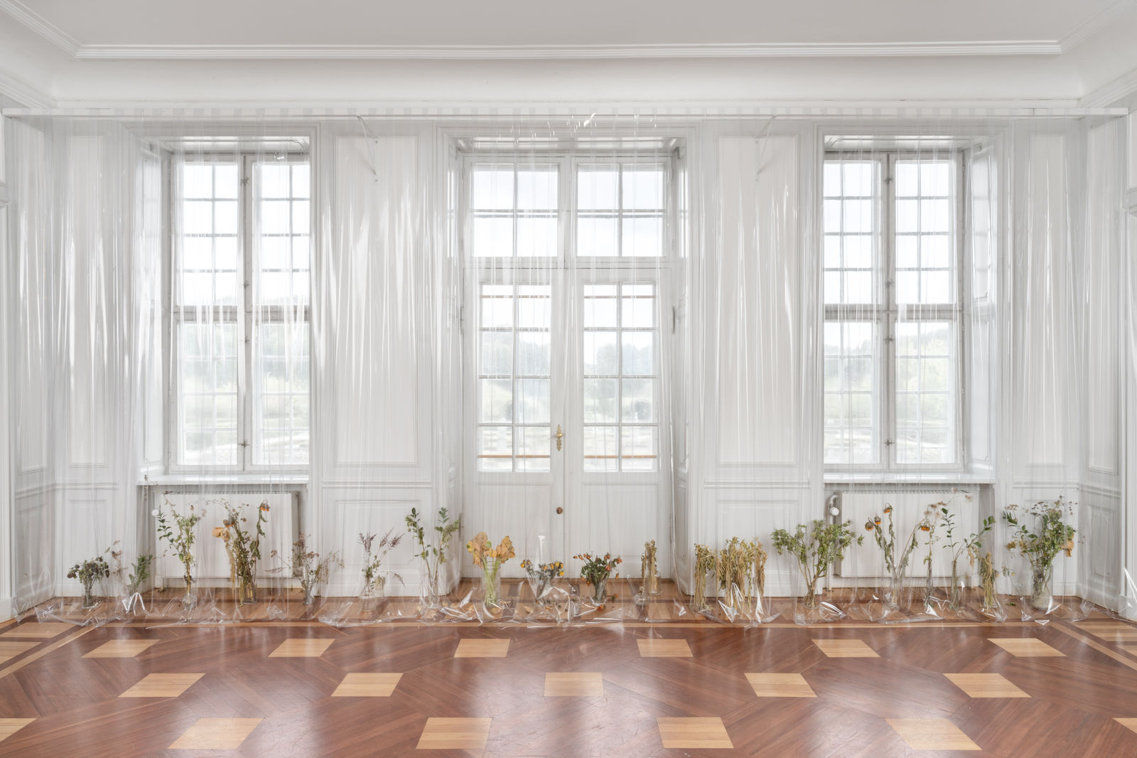 Photo: David Stjernholm