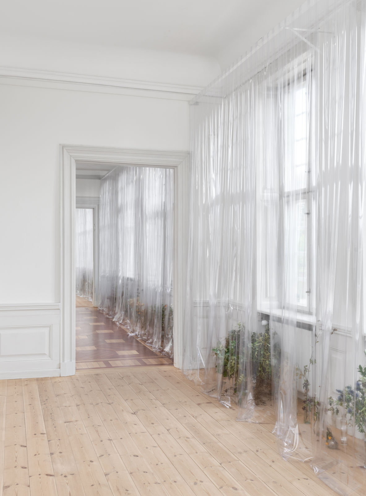 Photo: David Stjernholm