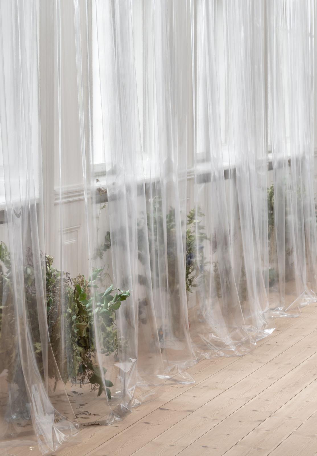 Photo: David Stjernholm