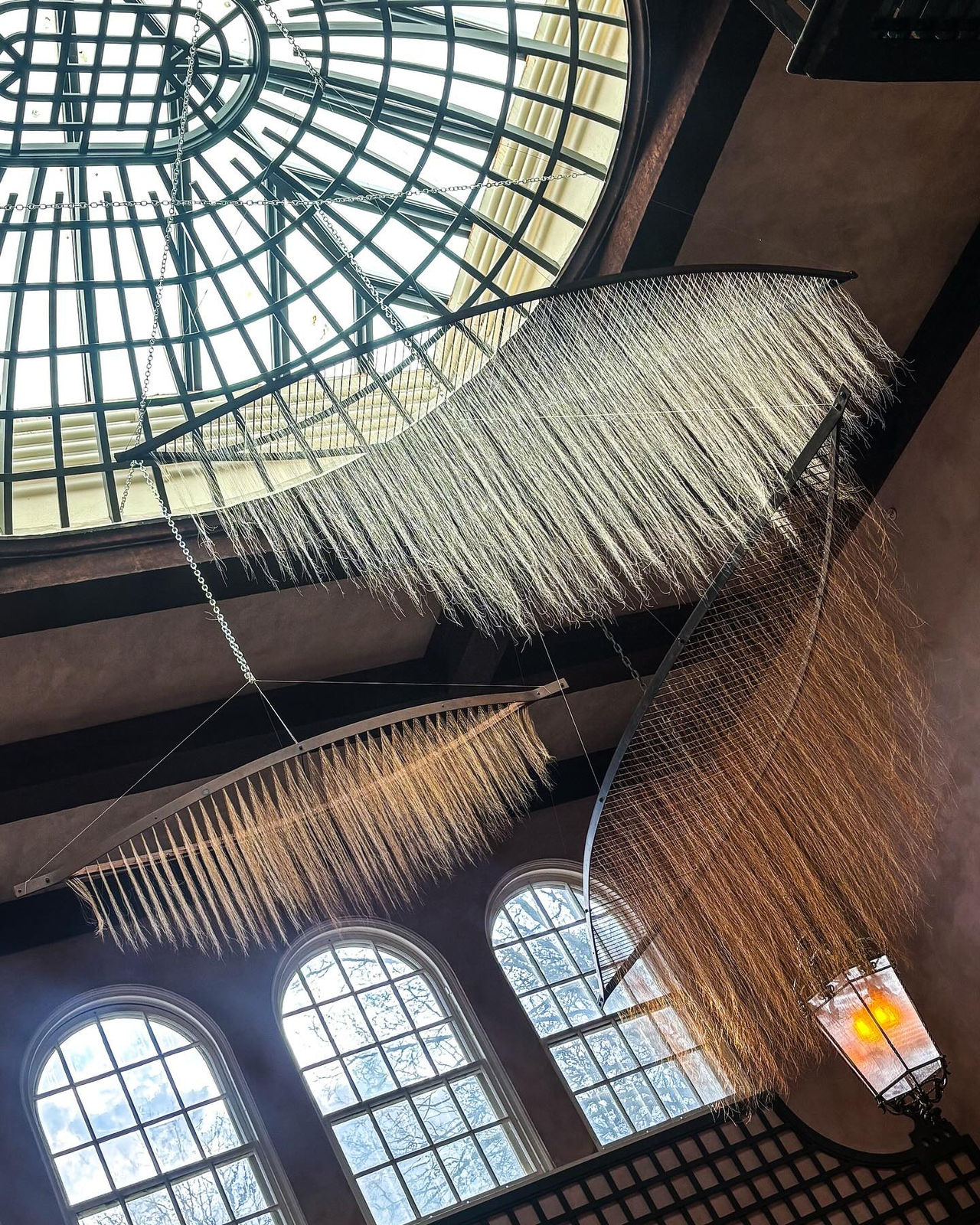 Cusp Installation 02 Myoung