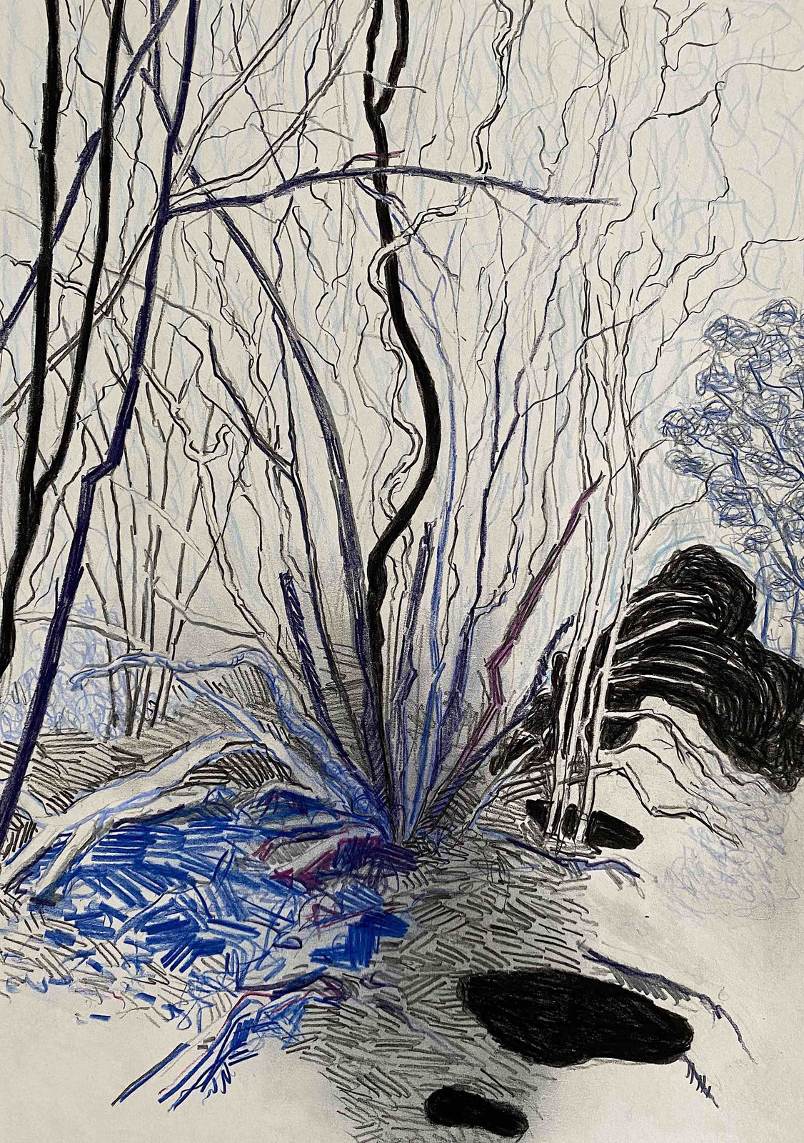 Per Adolfsen, Young Tree in Winter, 2020