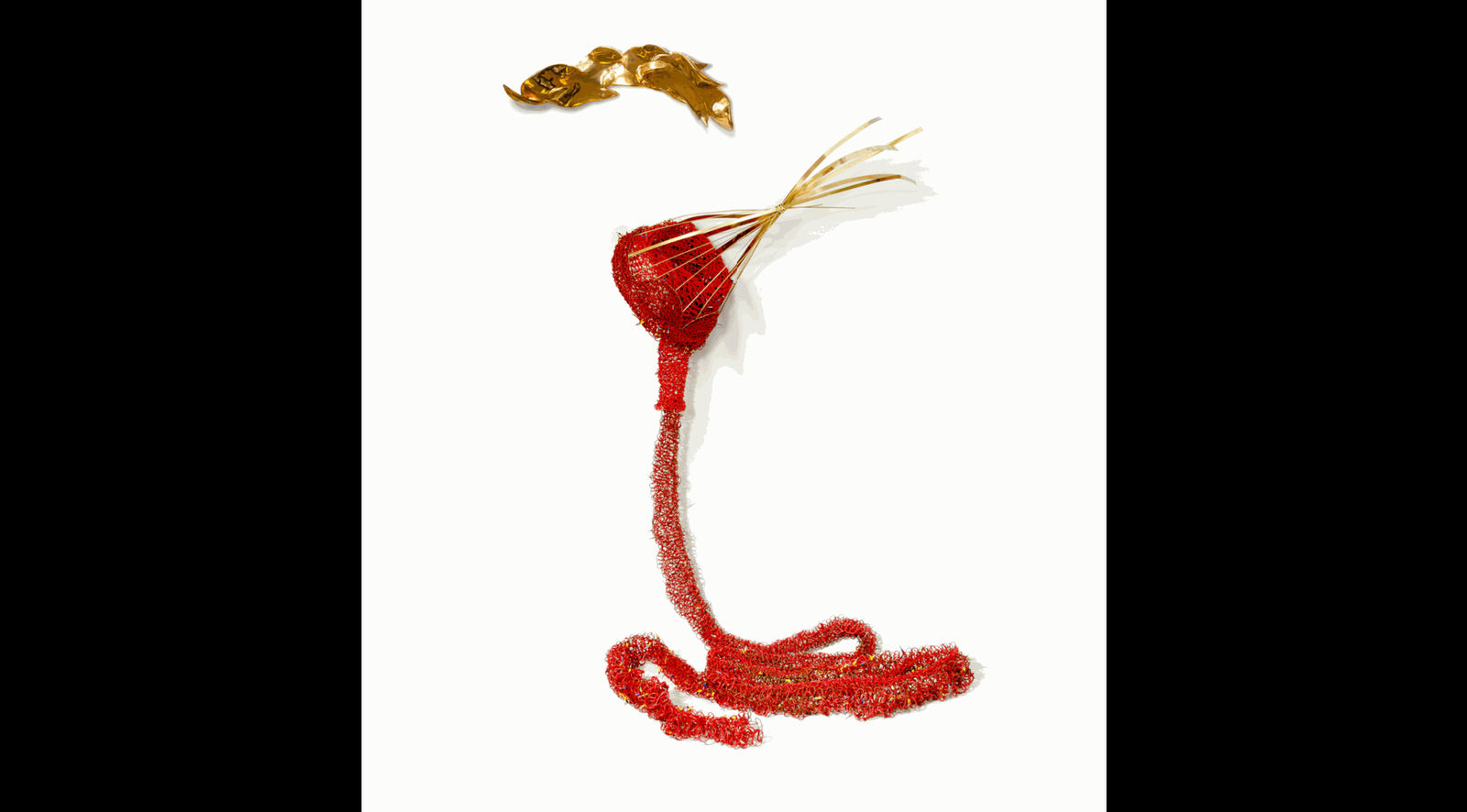 Susana Guerrero, La Desollada / The Skinned, 2018