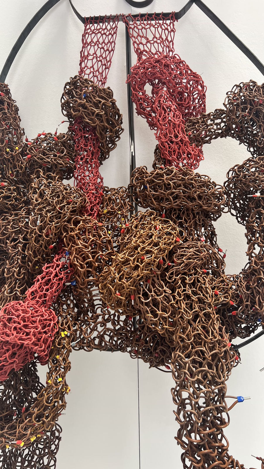 Susana Guerrero, Siempre hay una lengua que te escucha; lengua / There is always a language that listens to you; the tongue, 2023