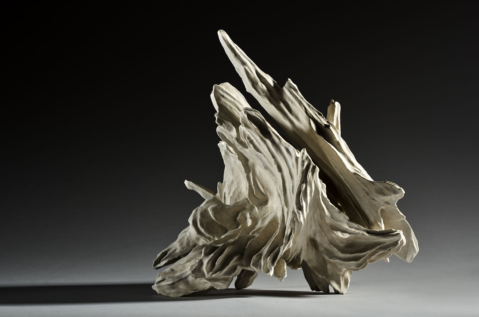 Akashi Murakami, Wind Wave, 2022