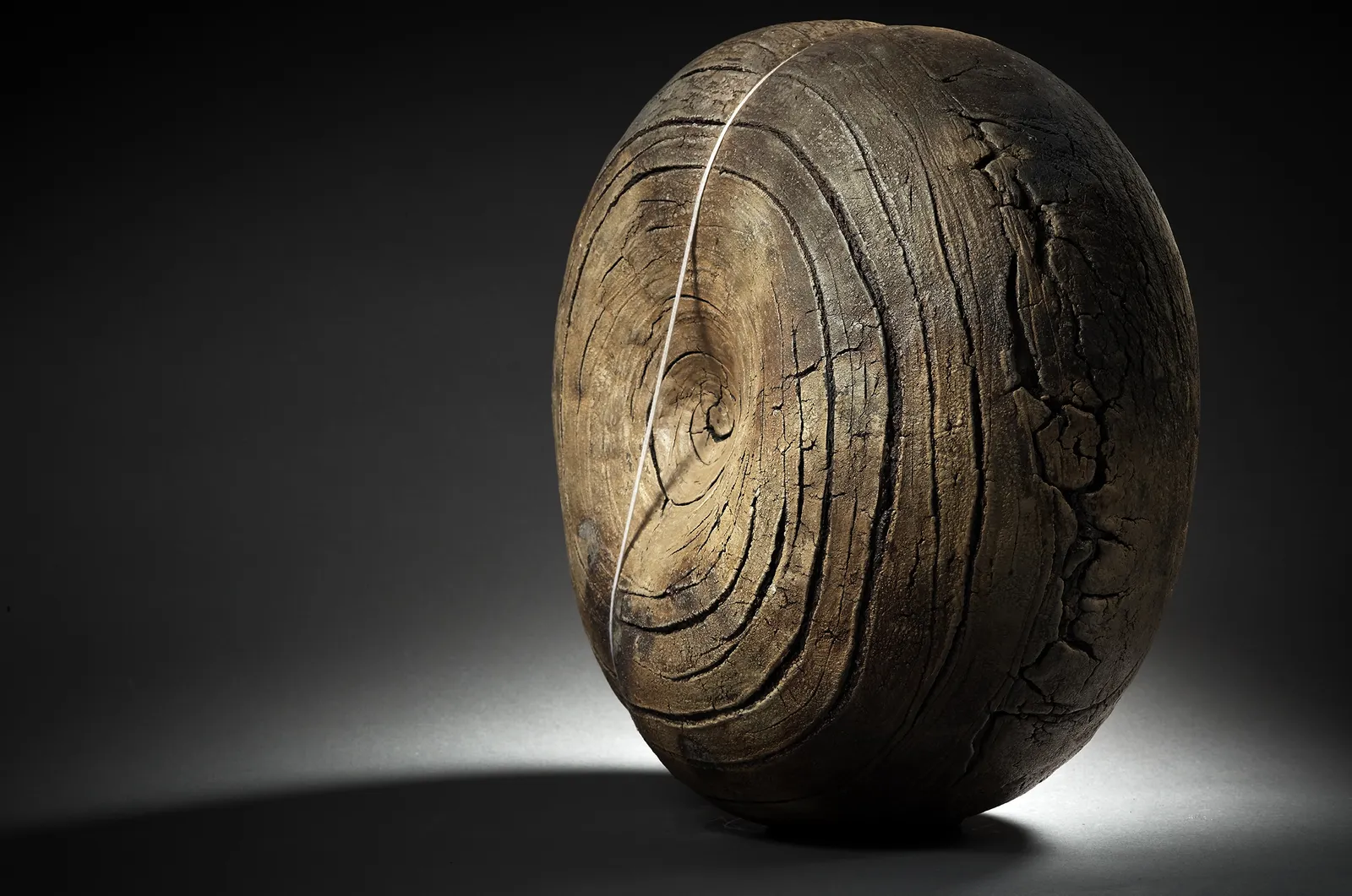 Seungho Yang, Cocon, 2000