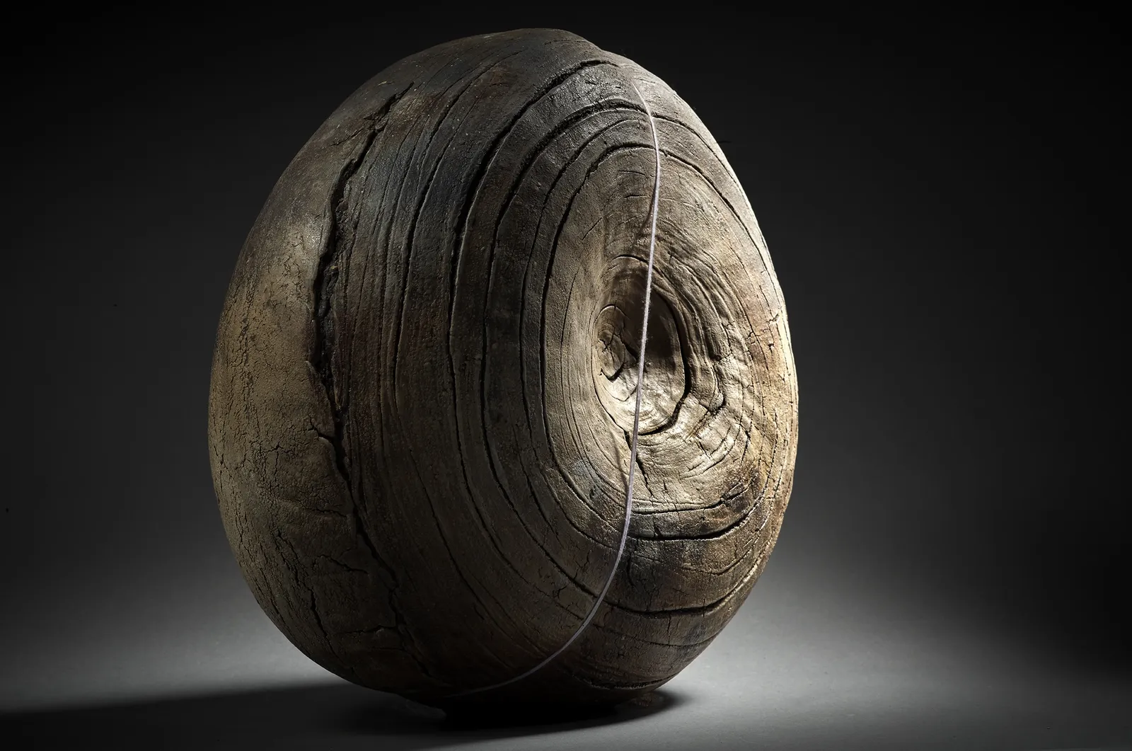 Seungho Yang, Cocon, 2000