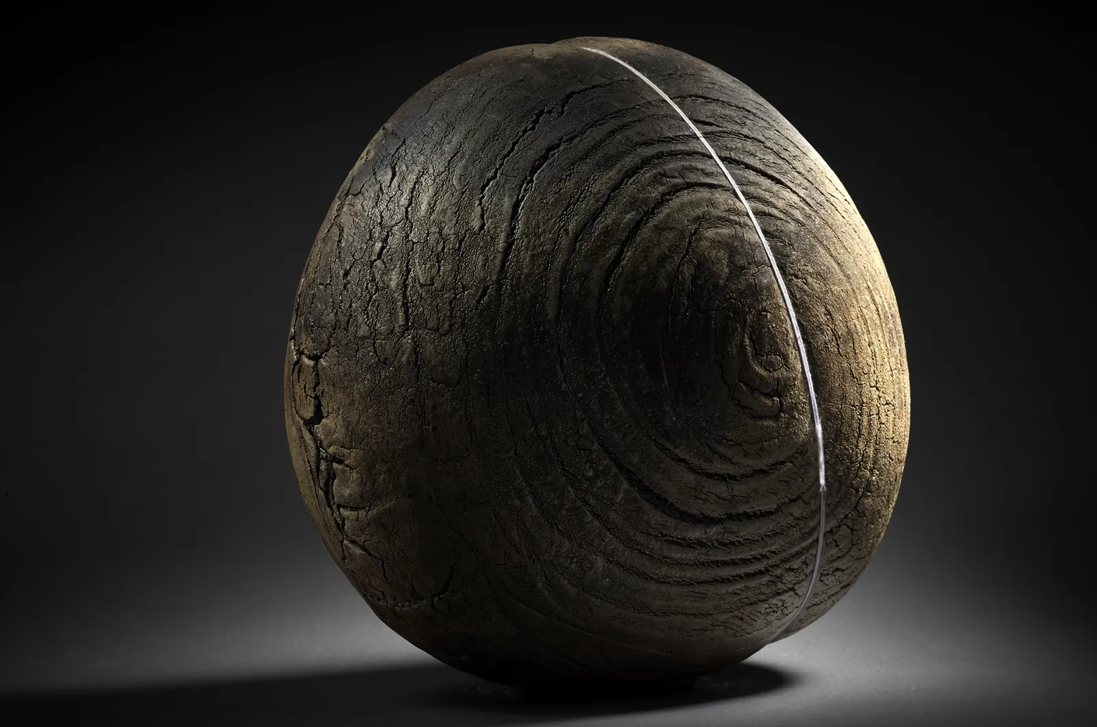 Seungho Yang, Cocon, 2000