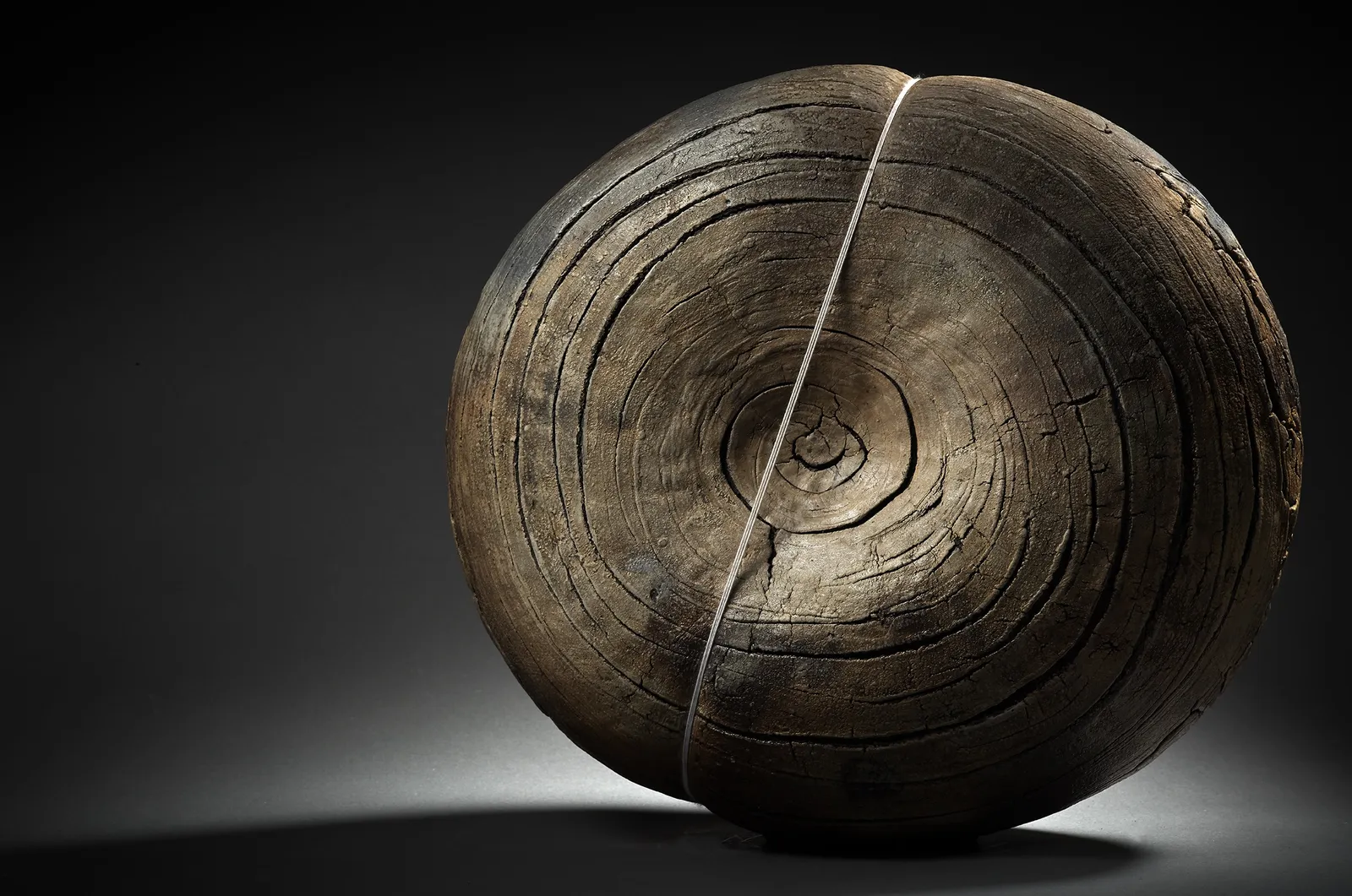 Seungho Yang, Cocon, 2000