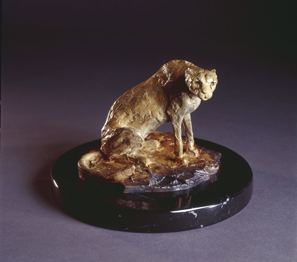 Richard MacDonald, Cheetah Study II, 1996