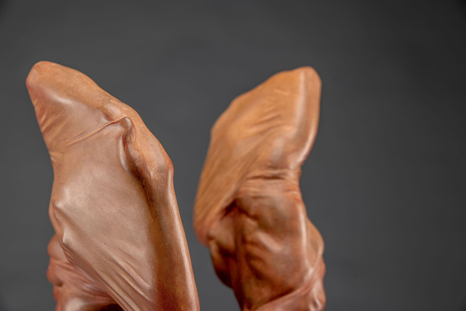 Richard MacDonald, Sisters of Liberation, Red, 2015