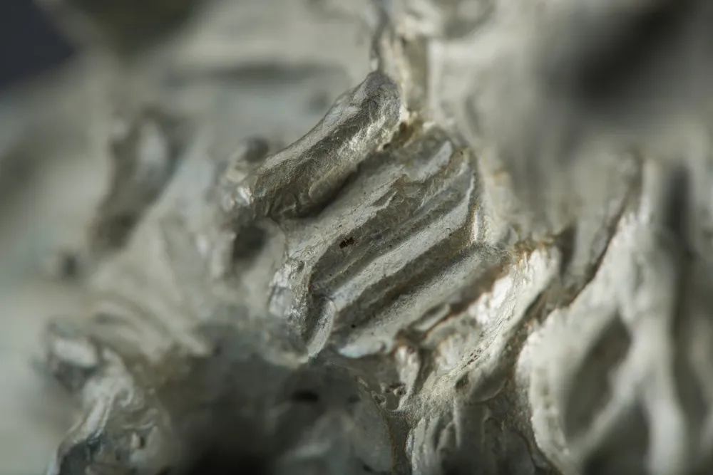 Richard MacDonald, Sleep Marcel, Sleep, 1991