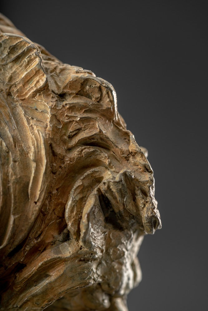 Richard MacDonald, Lion Study, 1997