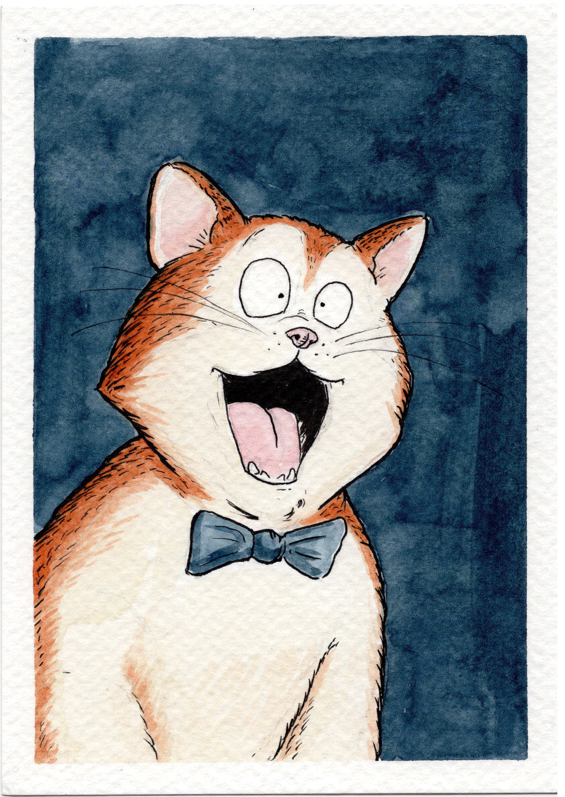 Gary Miller, Meow!, 2025