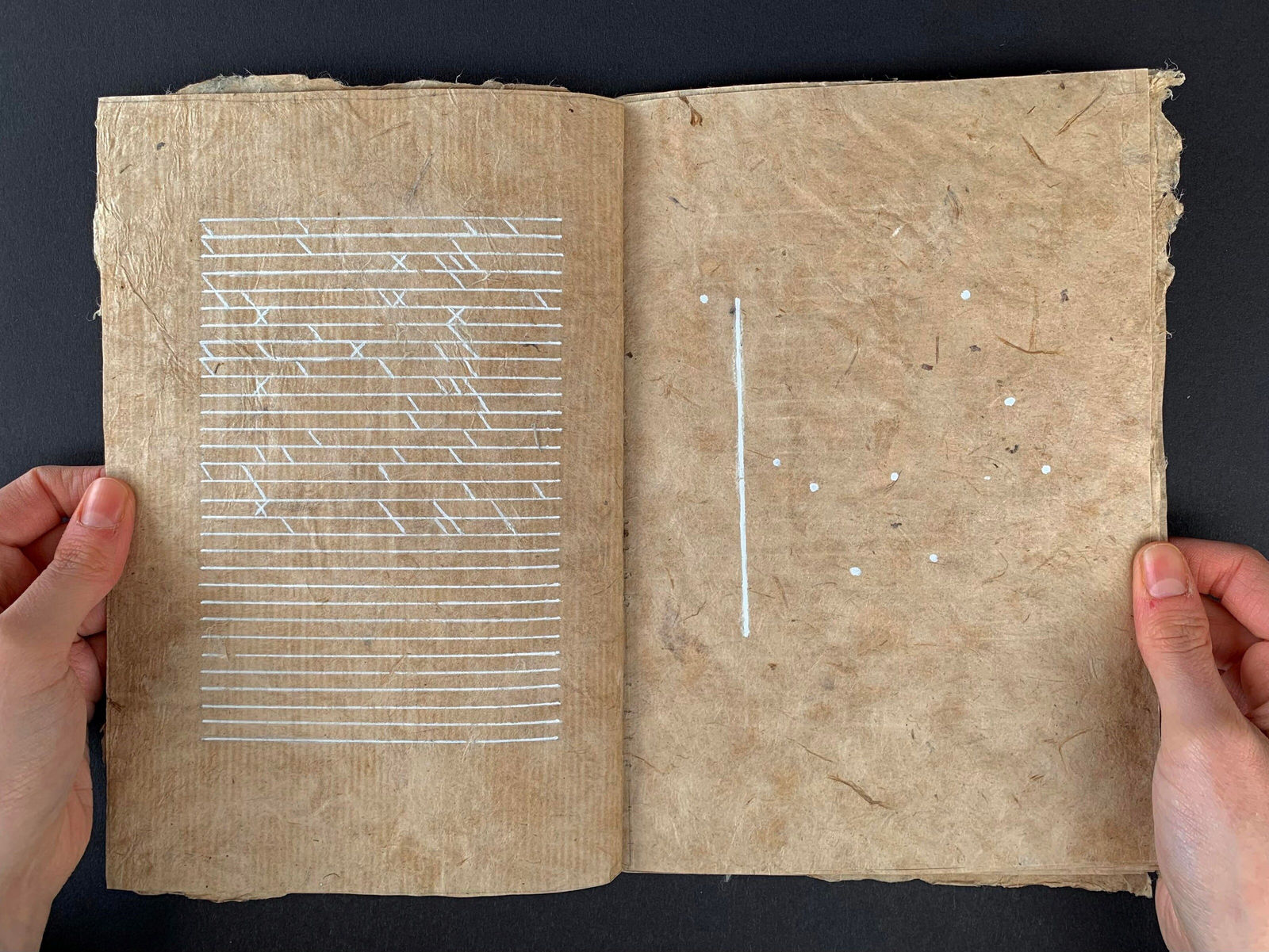 Erin Thomson, Human Nature (Riddle Series) Book of Nature