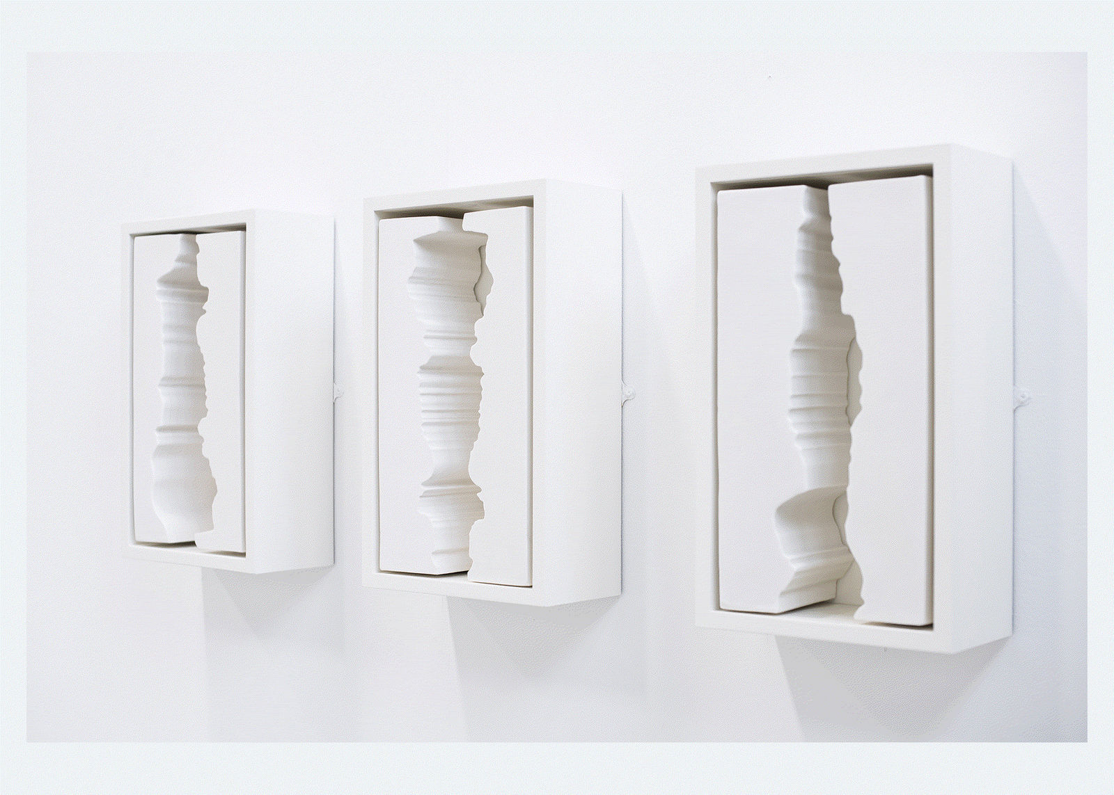 Janice Affleck, Unseen