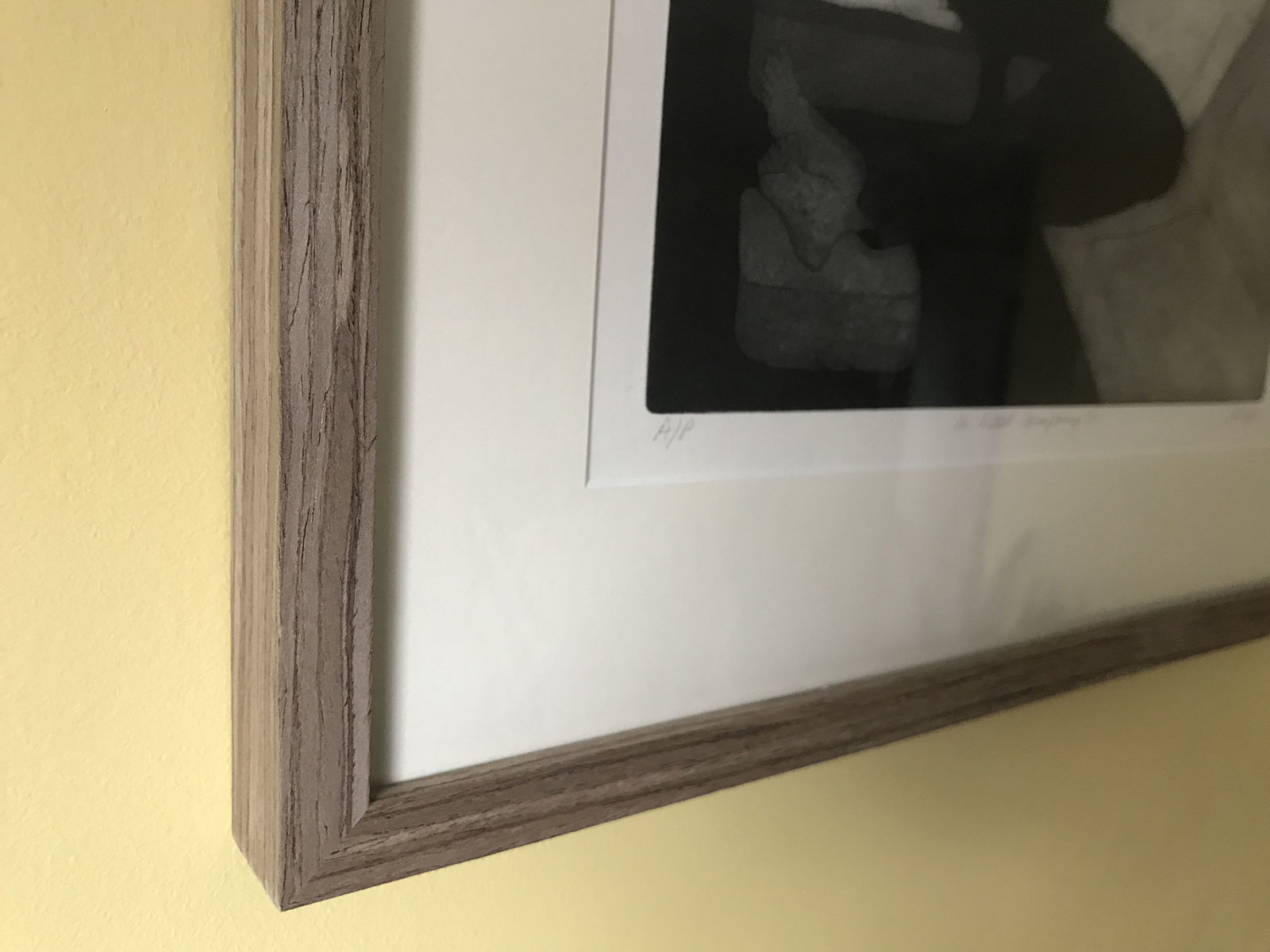 Anupa Gardner, In Good Company II