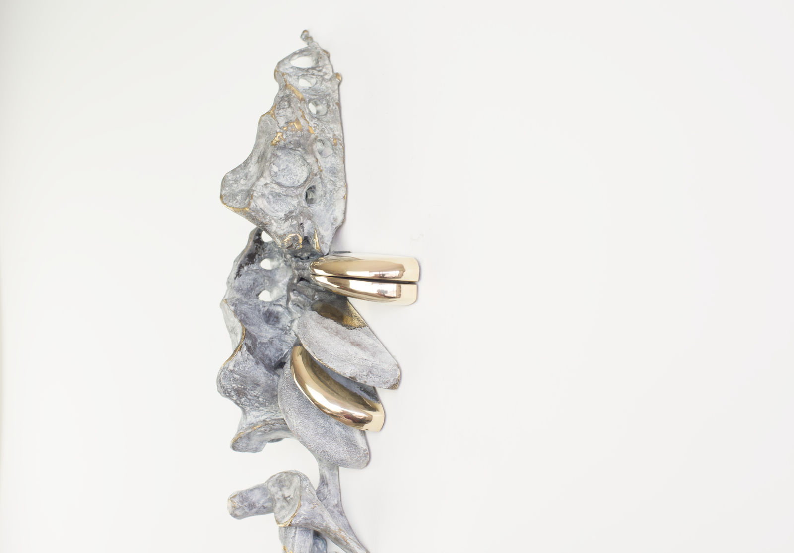 Dora Smék, Aguantes: Concha, 2023