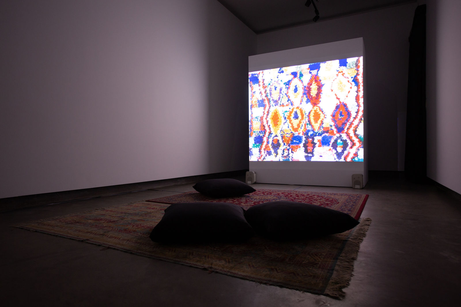 Galeria Francisco Fino - O horizonte é o meio, Diogo Evangelista