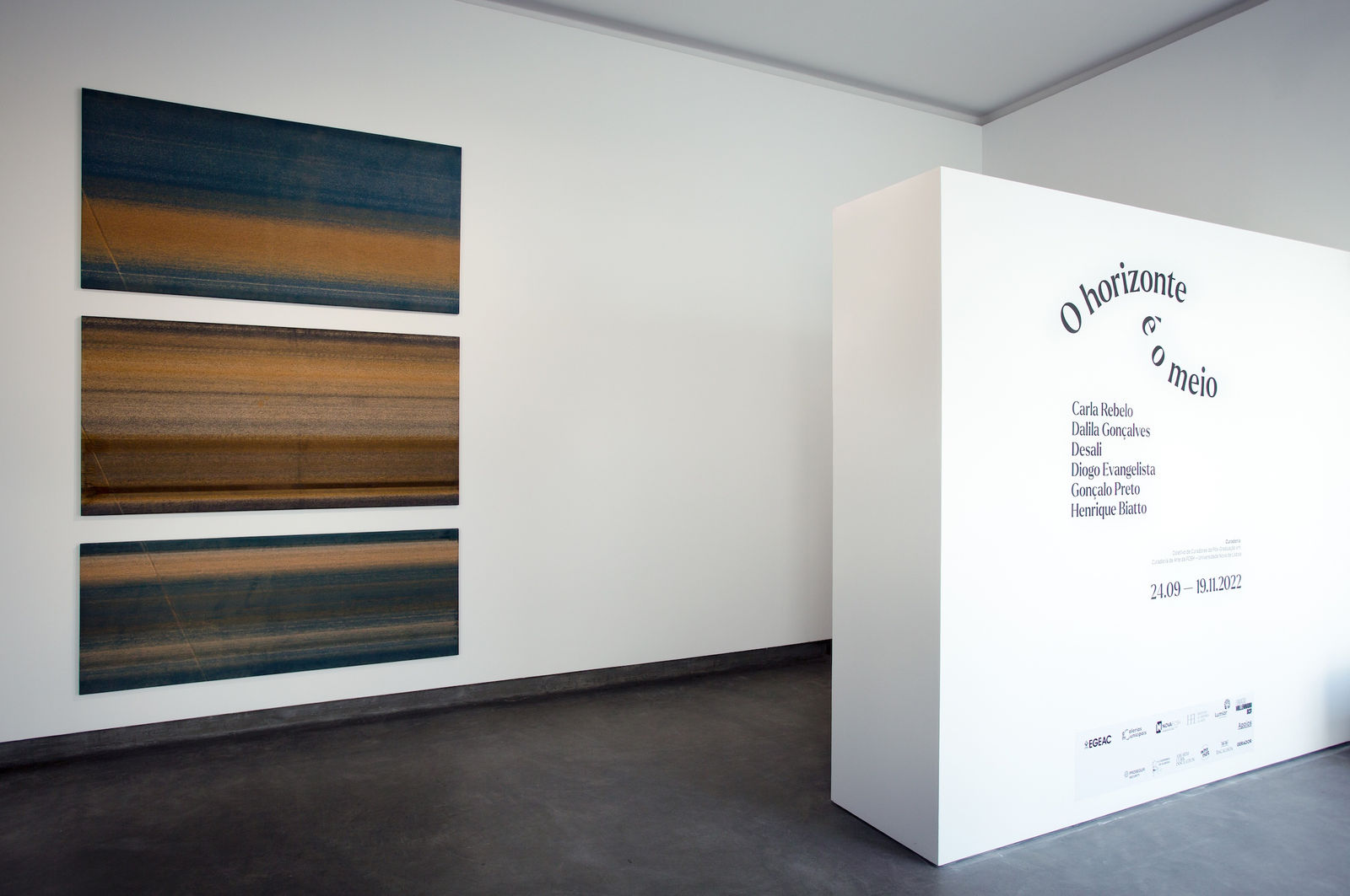 Galeria Francisco Fino - O horizonte é o meio, Diogo Evangelista