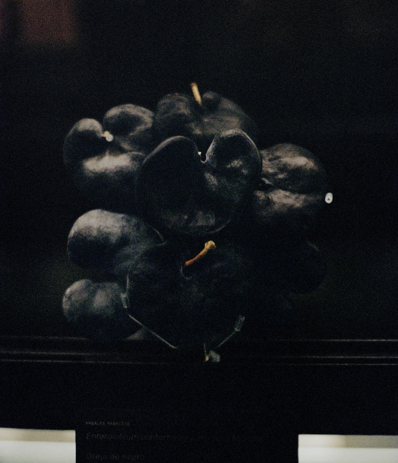 Daniela Ângelo - Untitled, 2023 | Galeria Francisco Fino