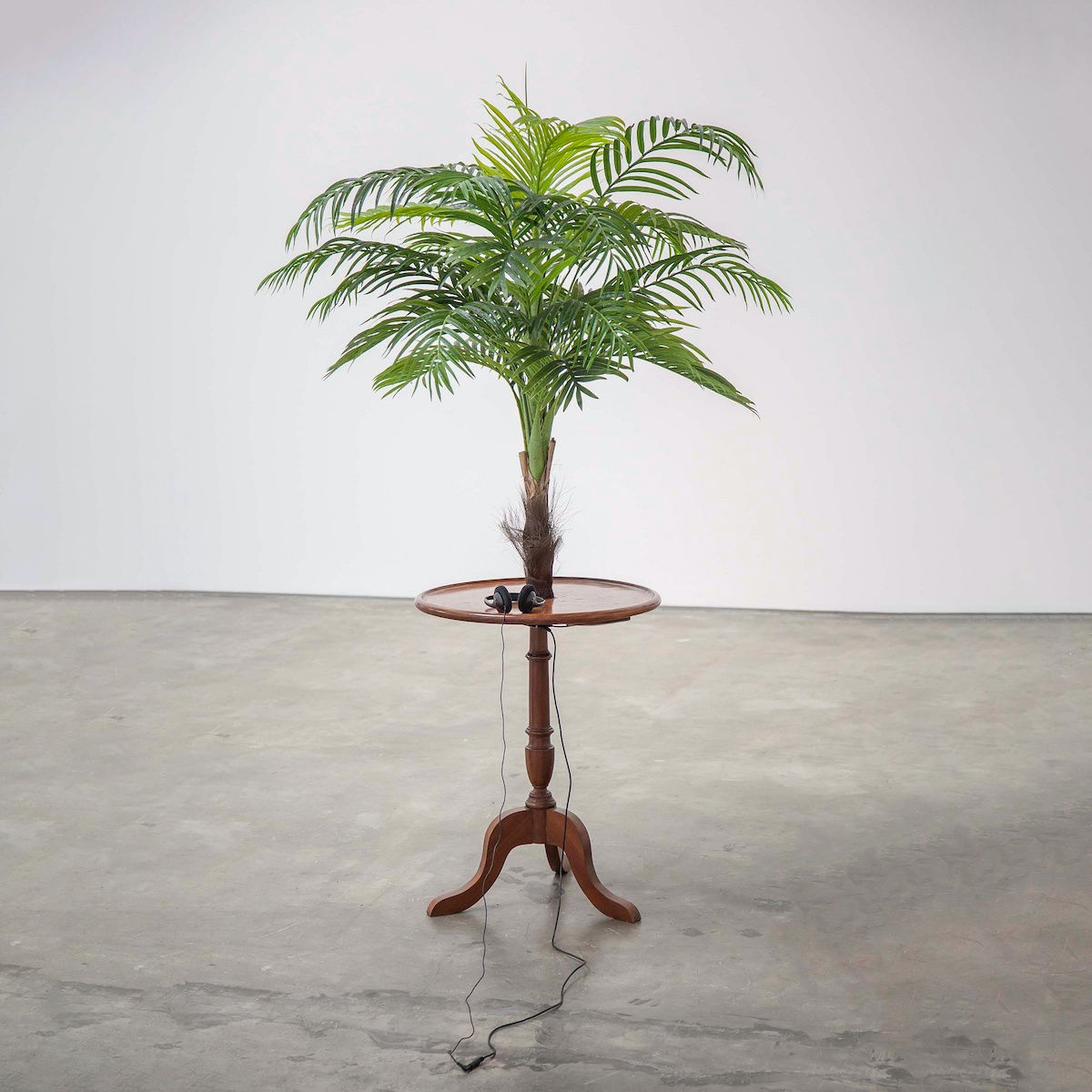 Vasco Ara&uacute;jo Exotismo #1, 2014 Plastic palm tree, wood table, MP3 Sound, headphones Text: Vasco Ara&uacute;jo Voices: Mariana S&aacute; Nogueira, Paula S&aacute; Nogueira, Vasco Ara&uacute;jo 170 x 60 x 60 cm