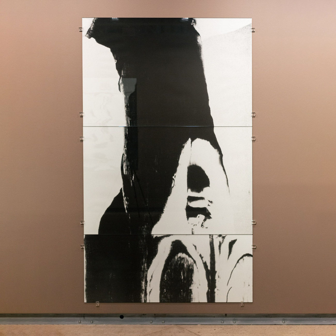 IGOR JESUS Míope, 2024 Silver bromide 215 x 141 cm Ed. 2 + 1 AP