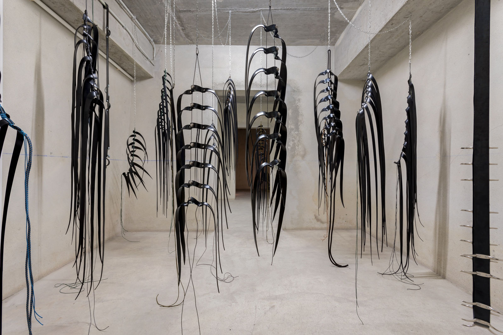 Galeria Francisco Fino - Bestas, Mané Pacheco, Belo Campo