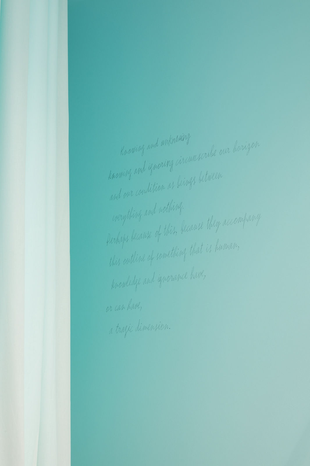 Galeria Francisco Fino - Pathosformel