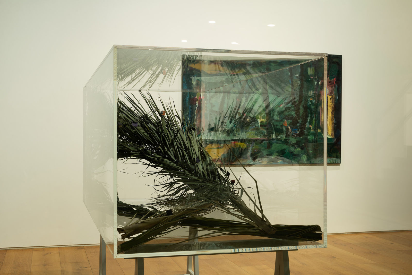 Installation view of In the Pictorial Code, Quetzal Art Center, 2023