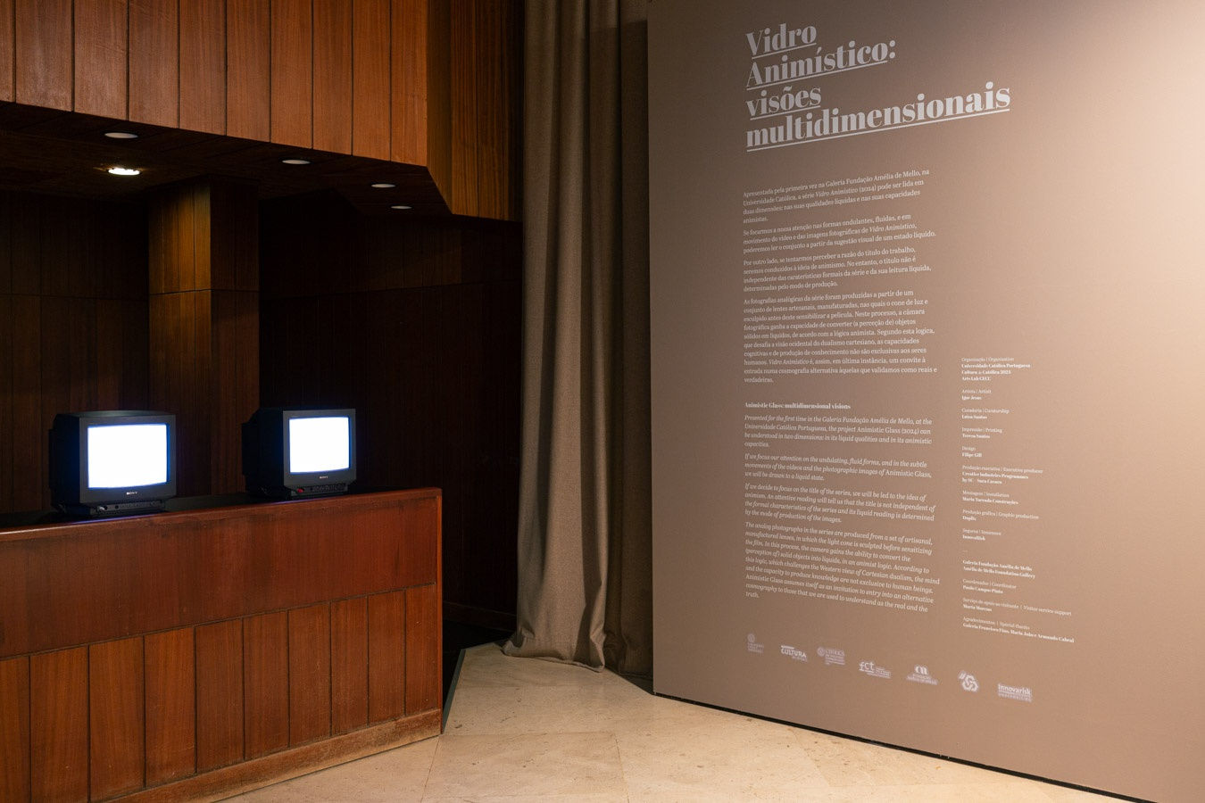 Igor Jesus - Animistic Glass, 2024, Galeria Fundação Amélia de Mello | Galeria Francisco Fino